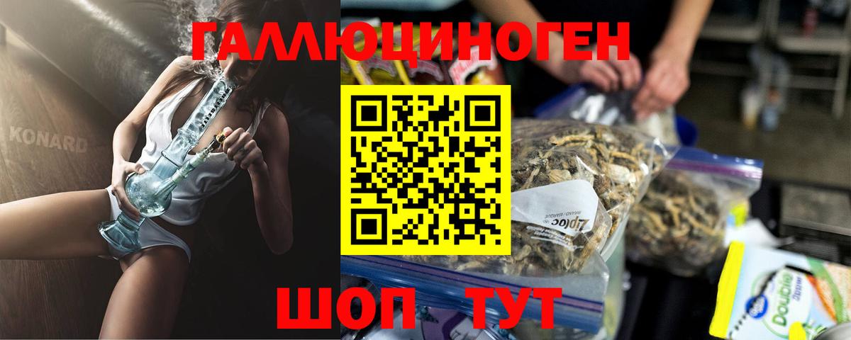 Кирово-Чепецк  Галлюциногенные грибы Psilocybine cubensis  Вход с VPN 